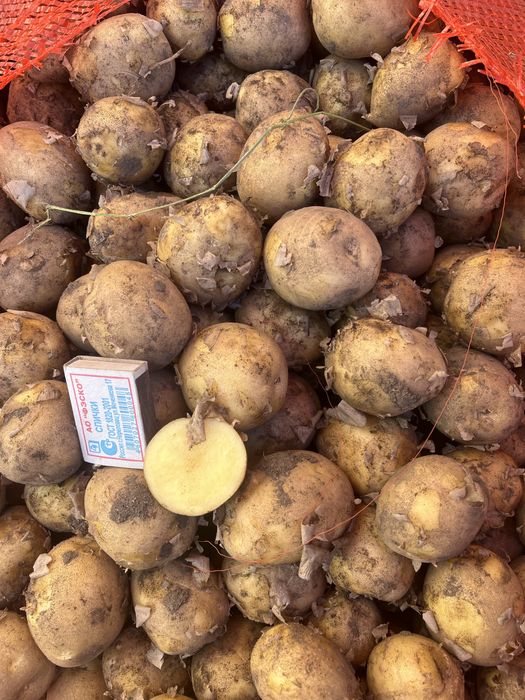 Продам картофель 80