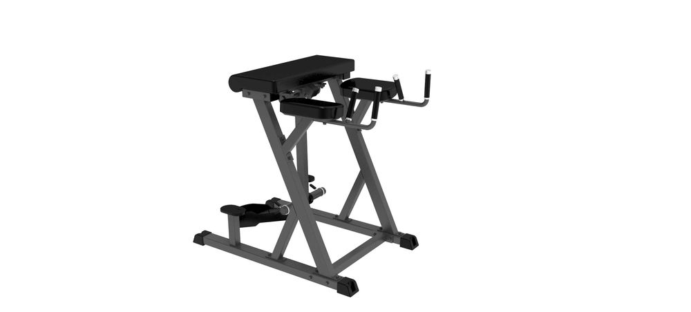 Impulse IFP1619
Обратная гиперэкстензия