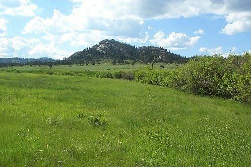 Земя Пасища 53дка