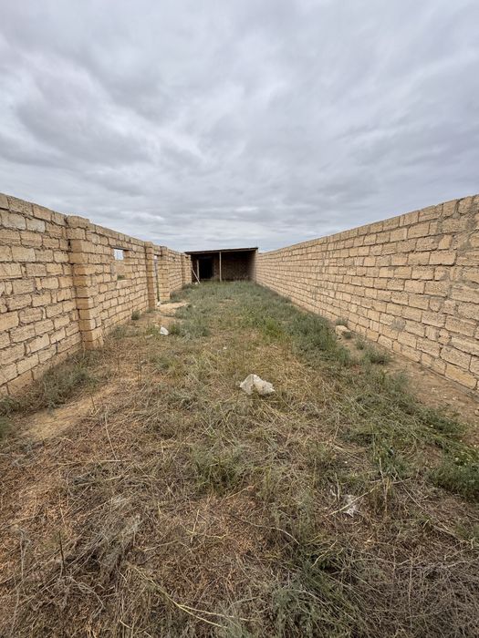 Мал кора сатылады