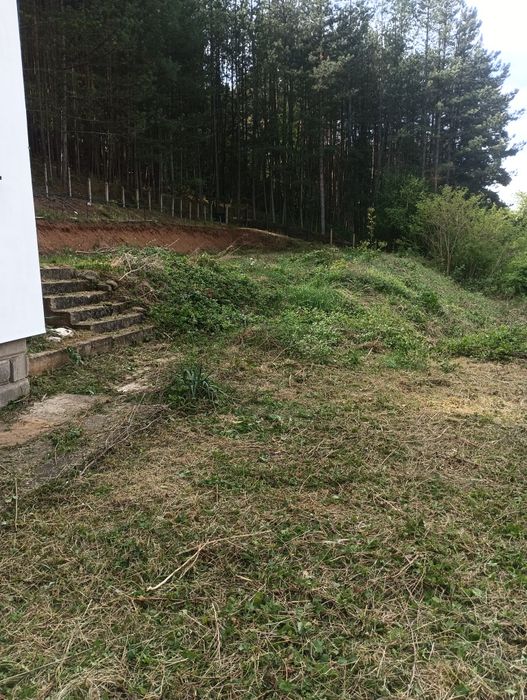 Почистване на запустели терени и имоти