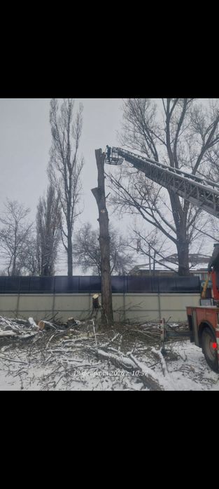 Спил деревьев,агаш кесемиз