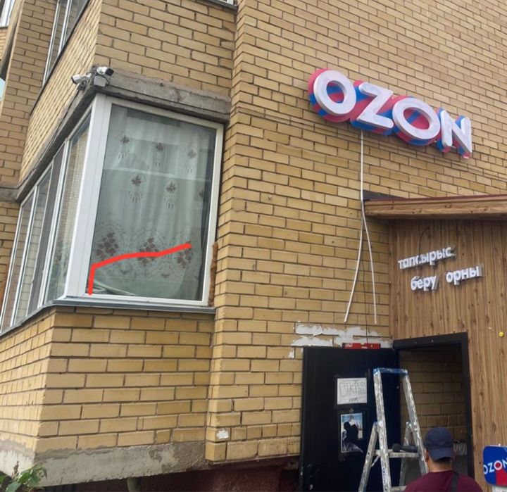 Вывеска неоновая горящая Озон