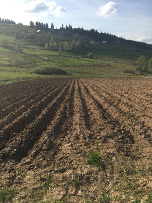 Teren de Vanzare in Marisel, CLUJ