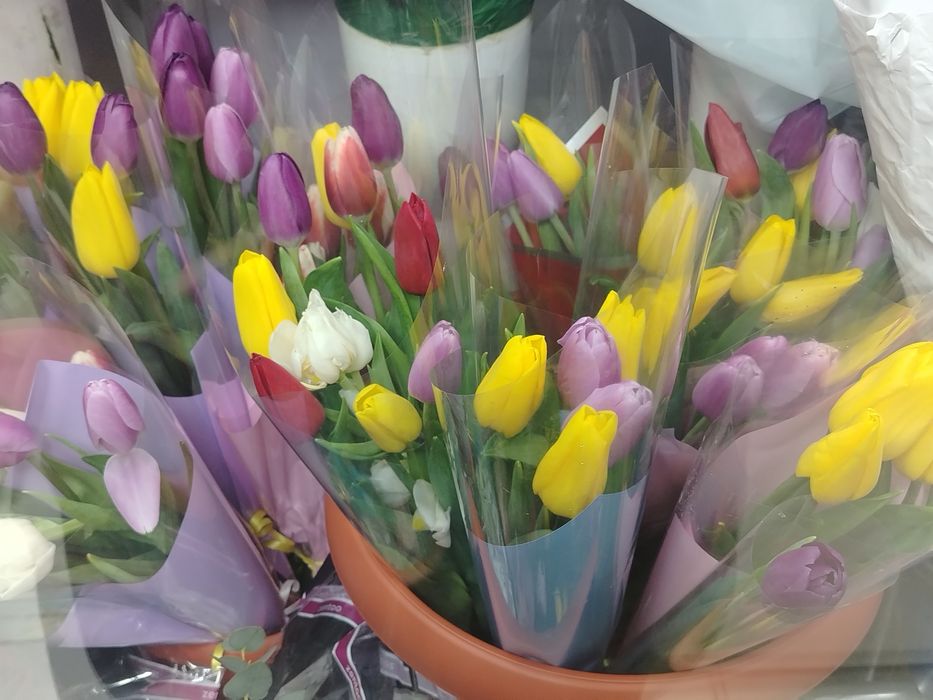 Цветы очень хорошие есть много цветы