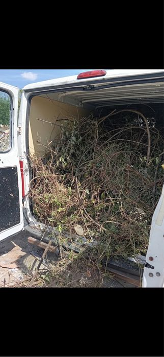 Чистене на мазета и тавани