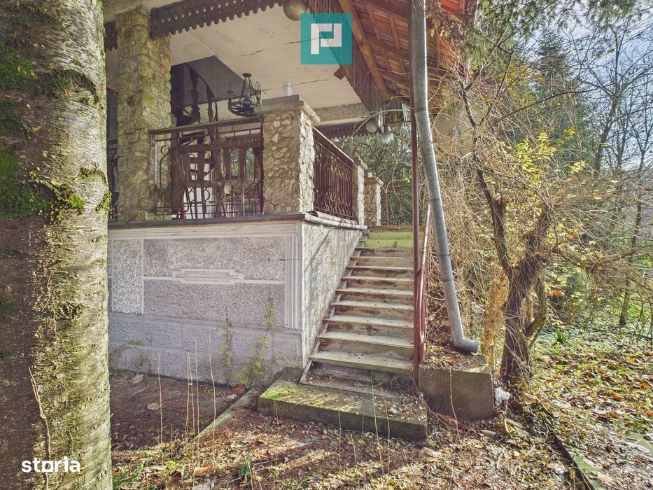 Casă P+E+M cu teren 8163 mp – Roşia Nouă (Petriş)