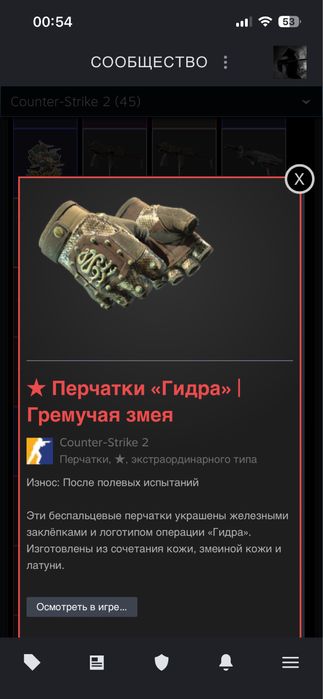 Скинь Кс2 Перчатки Гидра