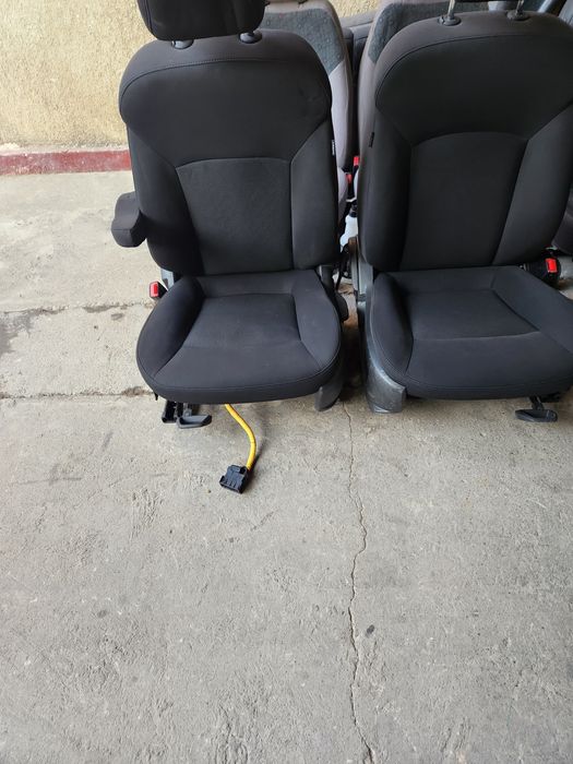 Sideniya arlando kojini