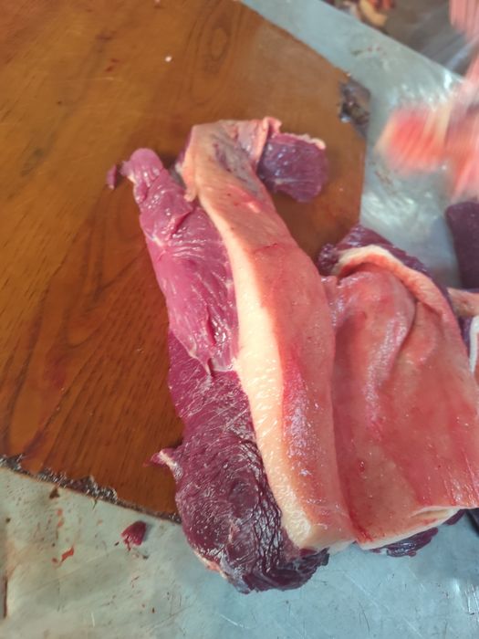 Соғым/ет/жылқы/согым