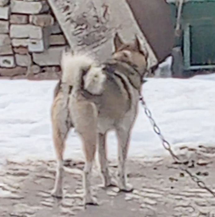 Продам Продам Продам