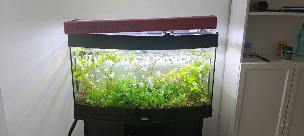 Acvariu Juwel Vision 180L  complet