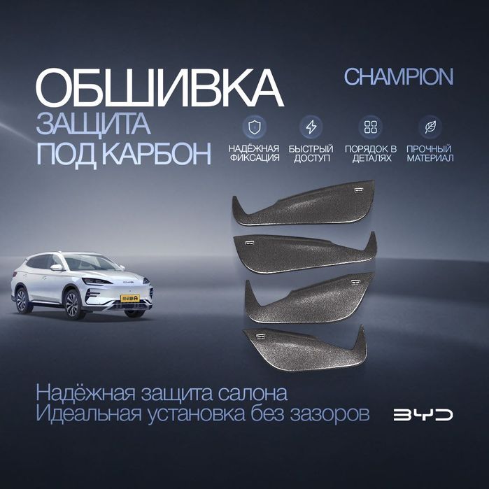 Карбоновая защита обшивки дверей для BYD Champion