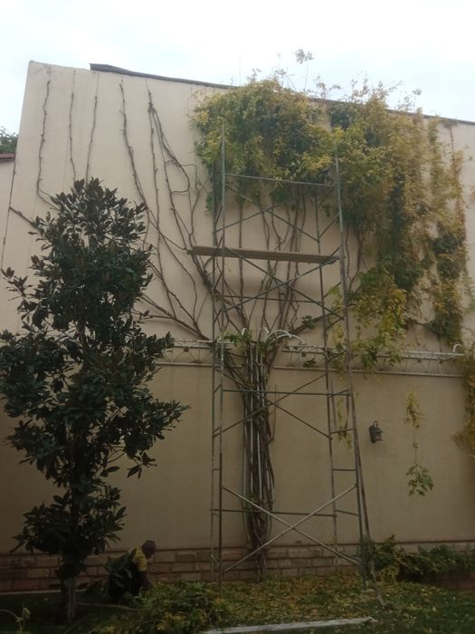 Дарахткесиш, Daraxt kesish, va malakali bog‘bon xizmati 7/24