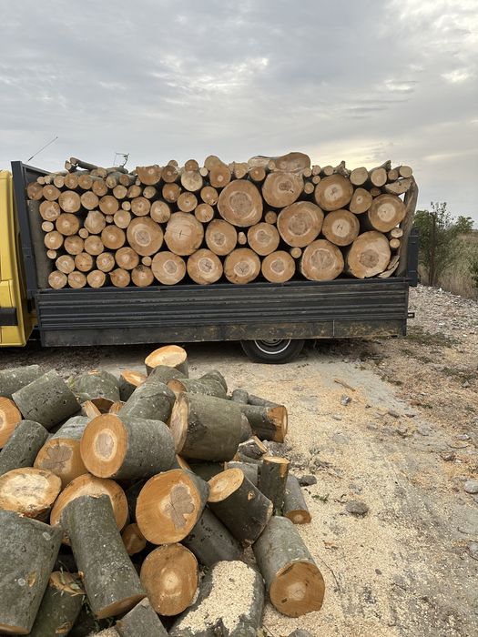 Vând lemne de foct esența tare