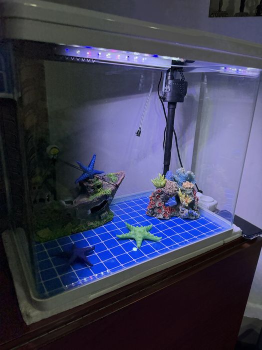 Продается аквариум