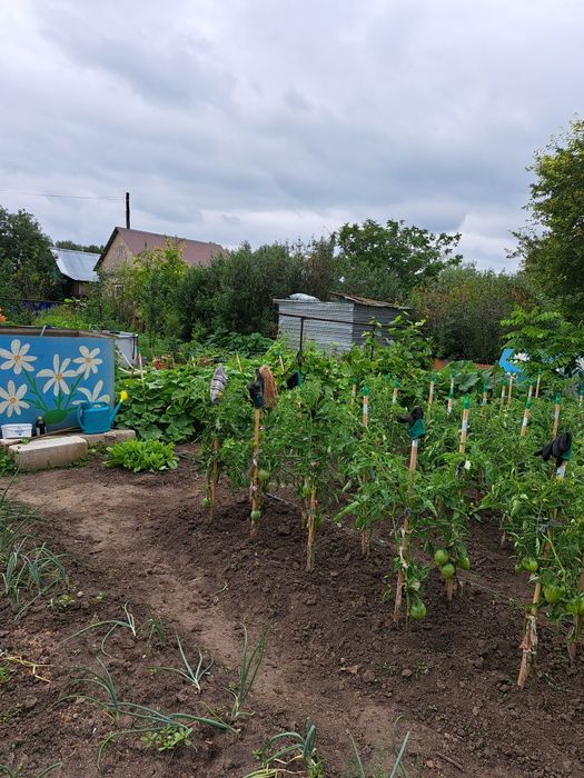 Продам дачу с.о Черёмушки