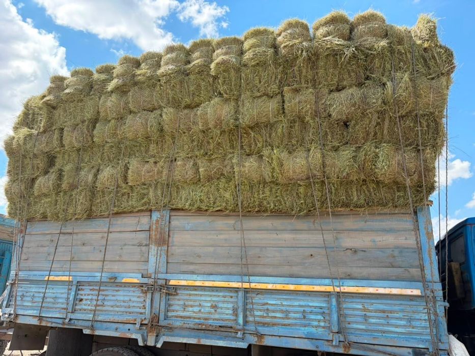 Продам сено в тюках