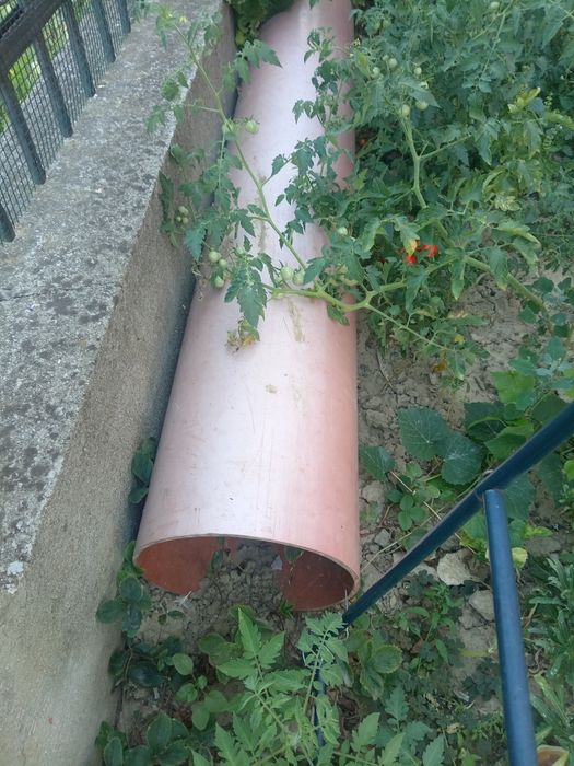 Vând țeavă trafic intens