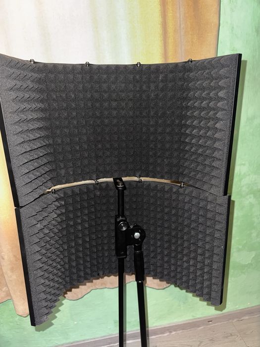 Mic stand and mic screen