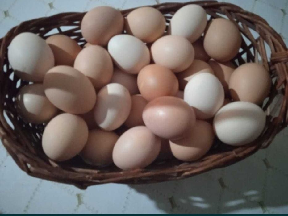 Яйцо куриное домашнее