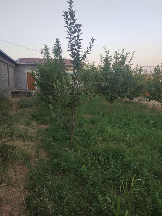 Срочна уй сотилади кибрай фанда жойлашган