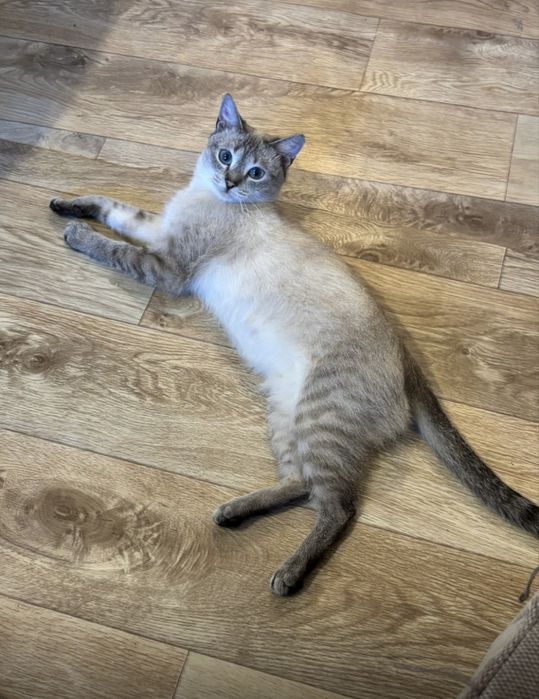 Глаша мечтает стать любимым членом семьи !