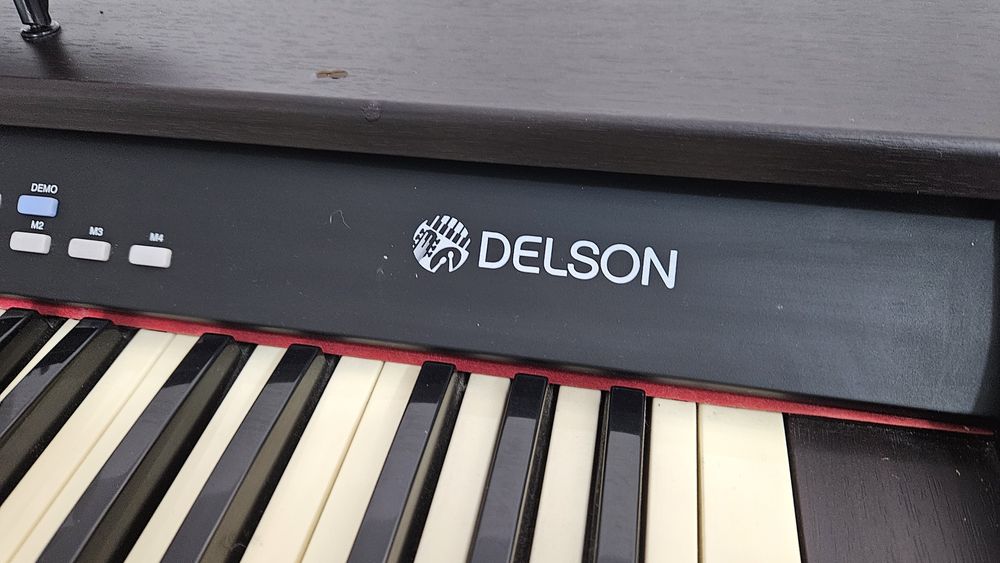 Vand Pian cu aranjor Delson NP10