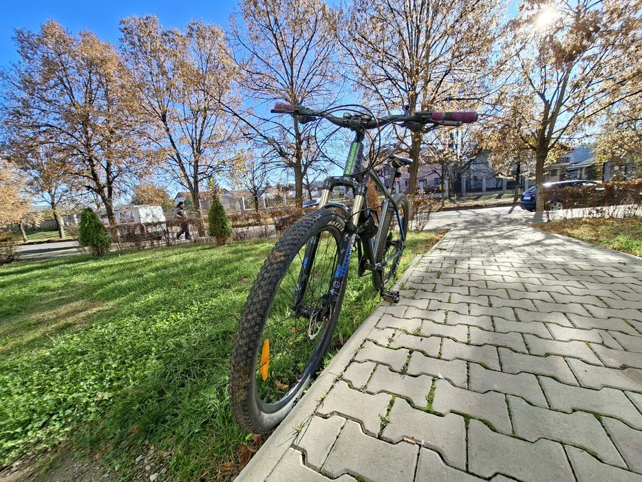 GIANT TALON 29" cadrul L