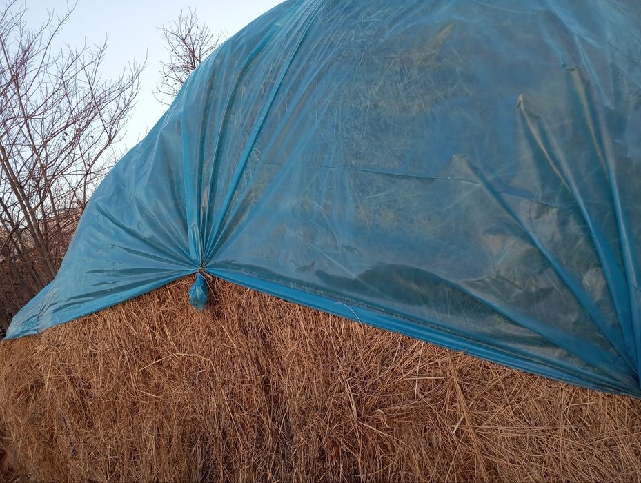 Beda sotiladi, mol ovqati