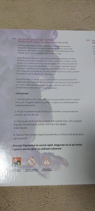 Tablou Pictura pe numere