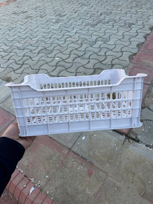 Яшик. YASHIK kolichestva bor