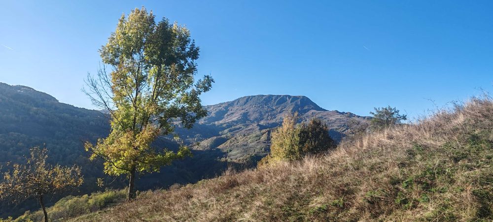 Casă de vânzare într-o zonă DEOSEBITĂ (Ideal Off-Grid, Remote, Izolat)