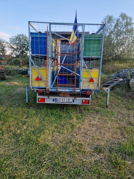 Vand familii   albine  împreună cu rastel si remorca