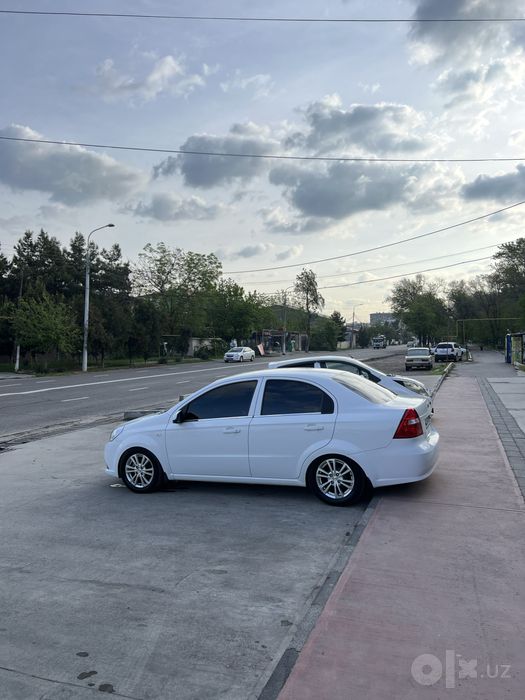 R15 Cobalt Diska