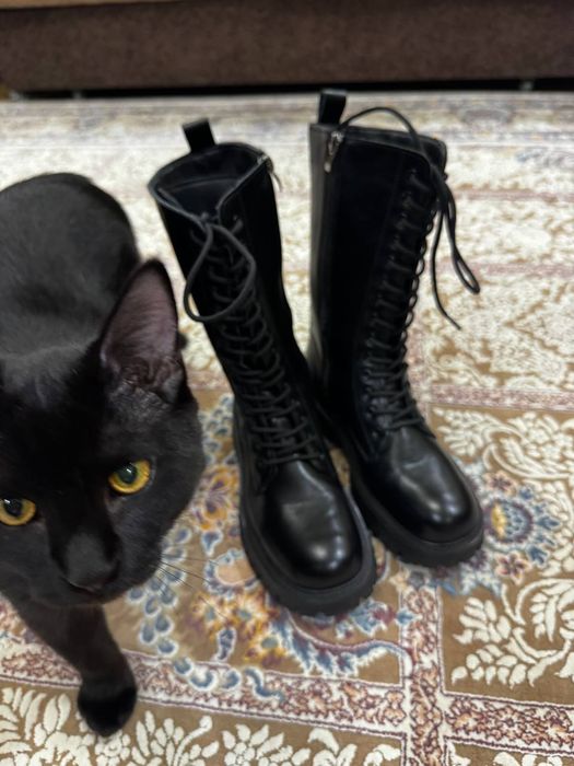 Сапоги ЭКОкожа . Размер 38