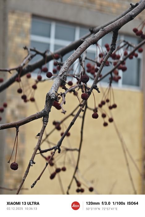 xiaomi 13 ultra обмен