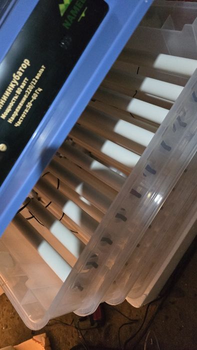 Автоматически инкубатор