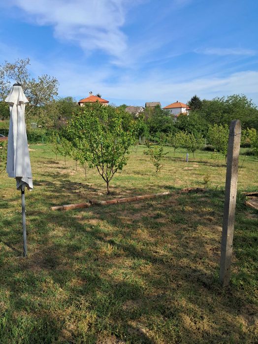 Продава се Парцел в с. Калипетрово, Област Силистра - 1176 кв.м за 65 €/кв.м - Снимка #5