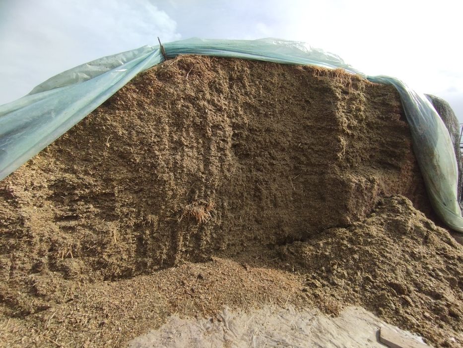 Silos donli sifatiga zor