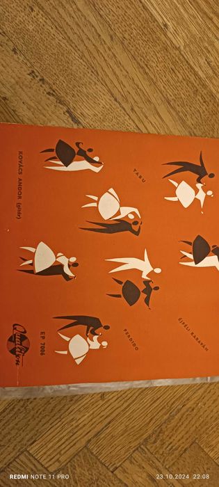 Disc vinyl străine și românești