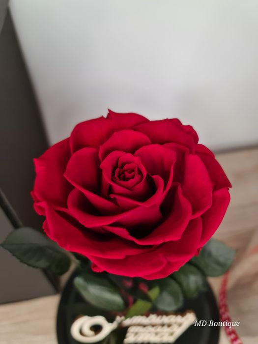 Trandafir criogenat + cutie