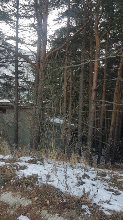 Продава парцел в курорта Паничище