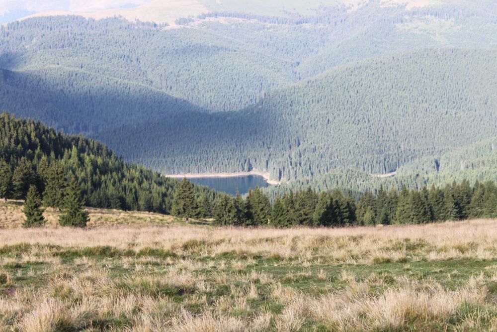 Teren vanzare 25 hectare