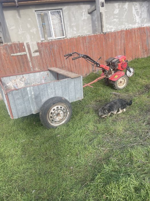 Vand motosapa cu tot cu remorca