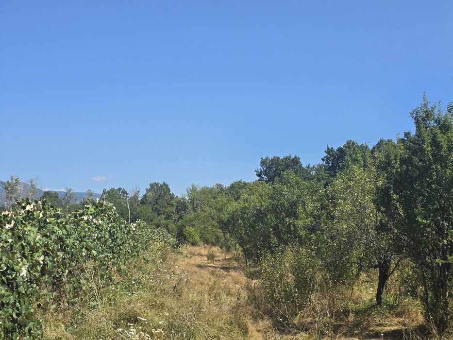 Vanzare casa + teren Tismana 69.000 Euro
