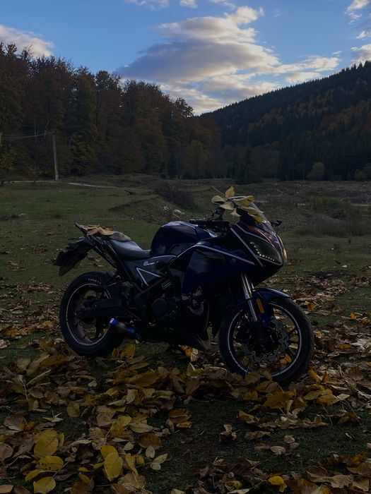 Honda cbr 125cc (luxxon x15 sport)