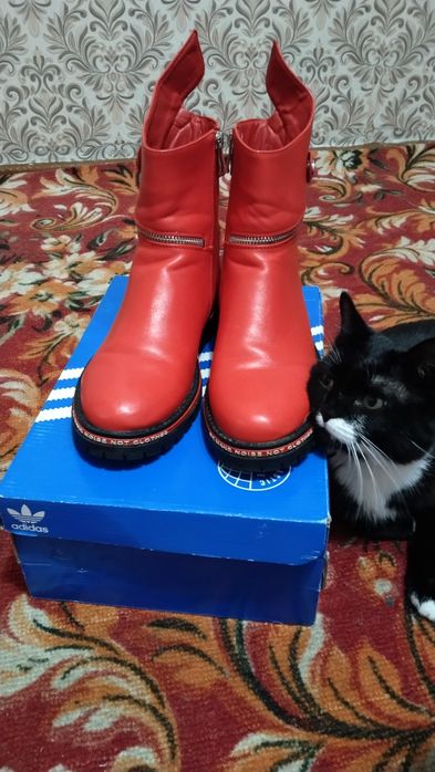 Продам  срочно о