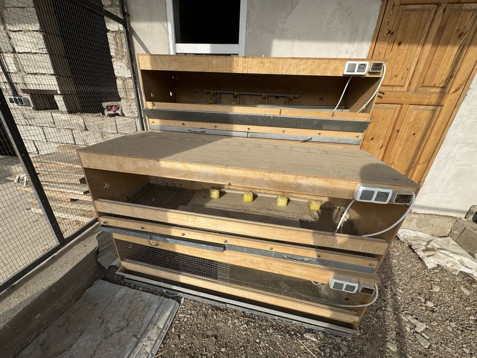 Клетки для перепелов