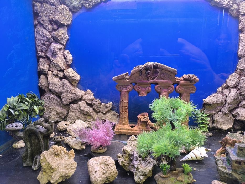 Аквариум на 350 литров